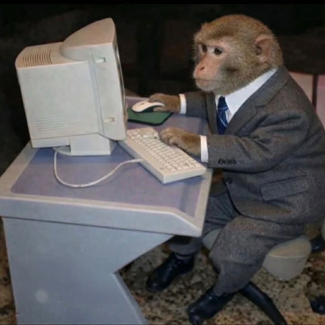 Cool Productive office working- handsome Monkey for sale